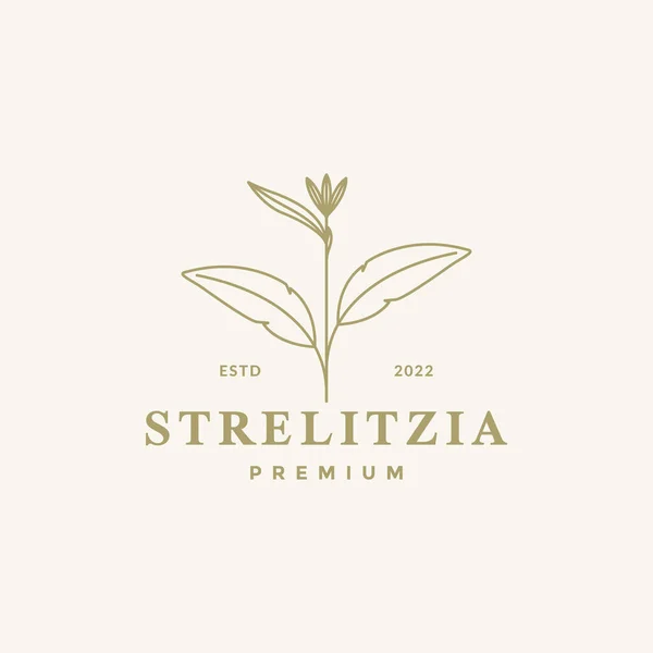 Aesthetic Flower Strelitzia Logo Design — Vector de stock