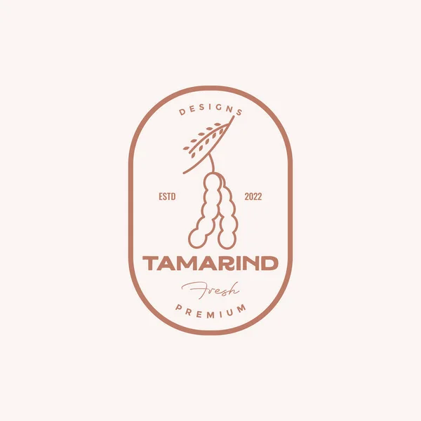 Badge Tamarind Vintage Logo Design — Vector de stock