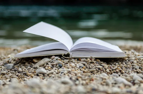 Boek bij strand lezing tijdens de zomer Stockfoto