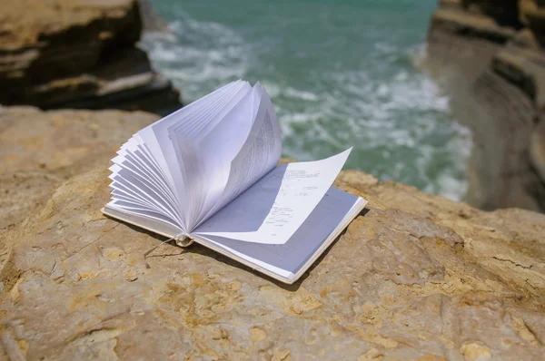Boek bij strand lezing op een zomertijd Rechtenvrije Stockafbeeldingen