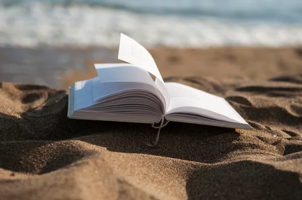 Buchen Sie am Strand im Sommer in der Nähe des Meeres Stockbild