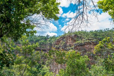 Brezilya 'nın Bahia eyaletinin iç kesiminde, Chapada Diamantina' da bitki örtüsü bulunan kayalık dağ duvarı