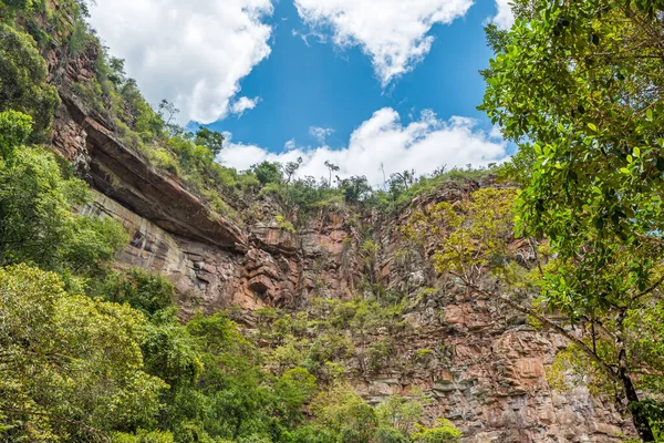 Brezilya 'nın Bahia eyaletinin iç kesiminde, Chapada Diamantina' da bitki örtüsü bulunan kayalık dağ duvarı