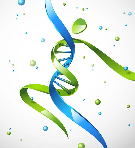 Vector illustration of a DNA strand in a shape of a human — Stock Vector