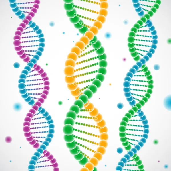 Brins d'ADN colorés — Image vectorielle