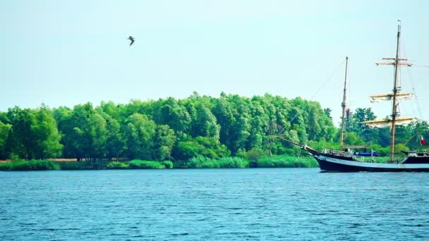 Zeilschip op zonnige zomerdag, mooie grote lange schip — Stockvideo