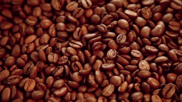 Kaffebönor bakgrund — Stockvideo
