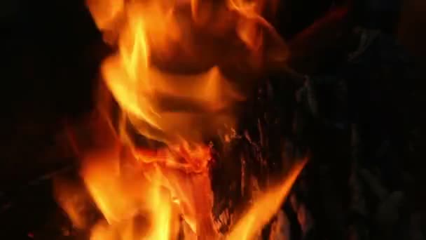 Fire burning in fireplace, nature abstract background — Stock Video