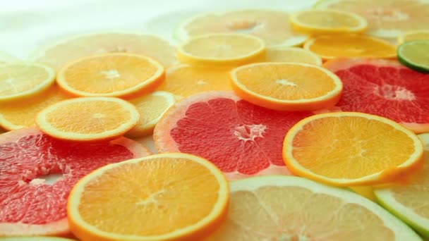 Citrusfrukter skivor bakgrund, frukter: apelsin, kiwi, grapefrukt, citron, lime, pomelo, närbild, dolly skott — Stockvideo