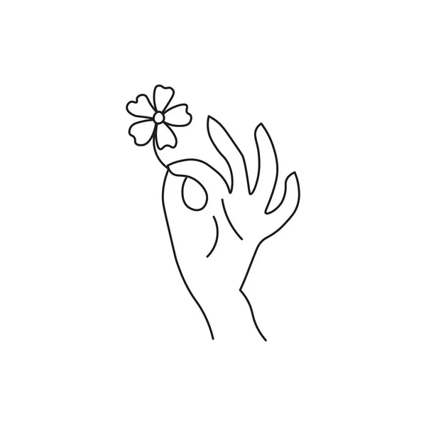 Kézen Fogva Egy Virágot Vonalstílus Fehér Alapon Elszigetelve — Stock Vector