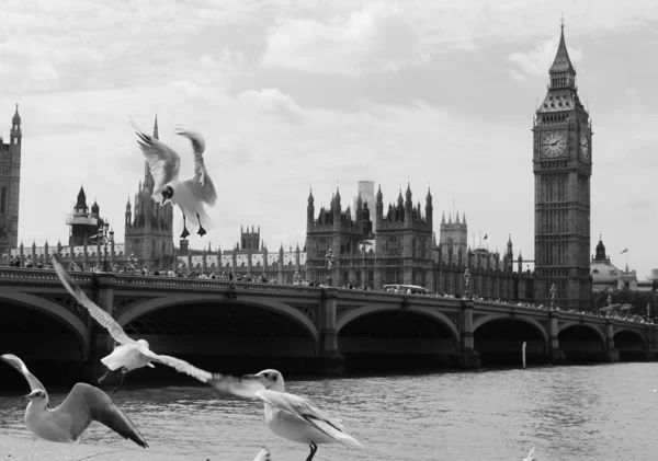 Grote ben westminster landmark london — Stockfoto