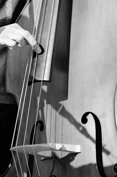 Cello Kontrabass mit Fingern, die Violoncello zupfen — Stockfoto