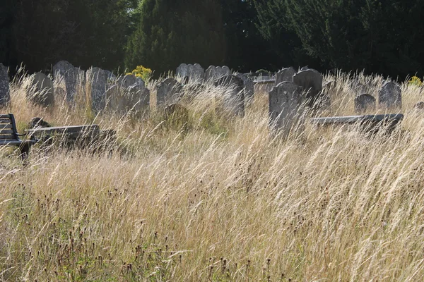 Temetőben temetőben Halloween kő temető sírkövek és sírok túlnőtt — Stock Fotó