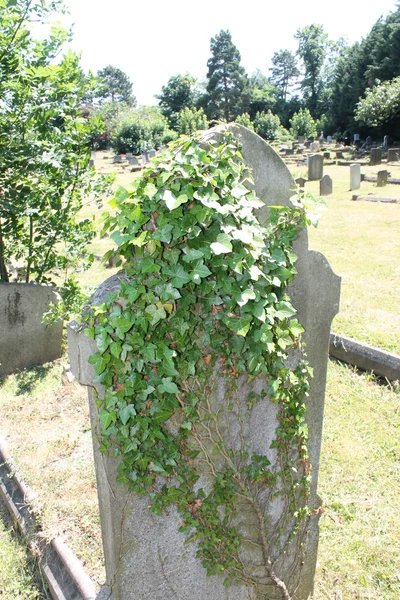 Cmentarz cmentarzyny kamień na cmentarzu Halloweenowe nagrobki i groby — Zdjęcie stockowe