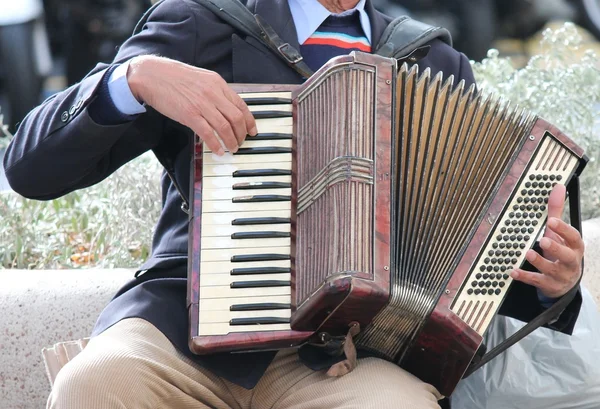 Estoque de Accordian, foto, fotografia, imagem, quadro , — Fotografia de Stock