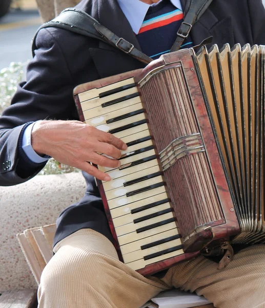 Accordian player played accordionist  stock, photo, photograph, image, picture, — Stock Photo, Image