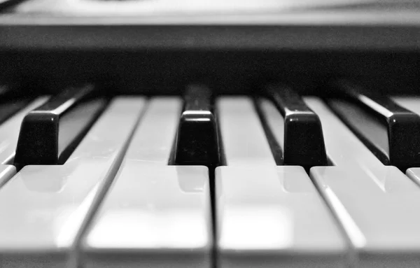 Piano keys Stock Image