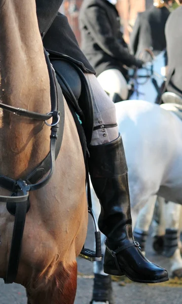Huntsman készen áll a róka vadászat-ló — Stock Fotó