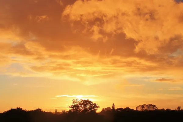 Sunsett over field — Stock Photo, Image