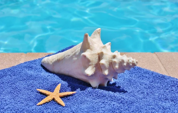 Poolside holiday vacation scenic swimming pool summer sunglasses shell towel starfish — Stock Photo, Image