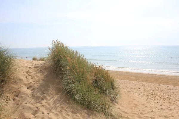 Camber sands East Sussex UK - view of Camber Sand dunes with sky and sea dunes held together with grasses stopping sand blowing away
