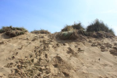 Camber Sands East Sussex UK - Gökyüzü ve deniz kumullarıyla kaplı Camber Kum tepeciklerinin manzarası