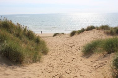 Camber Sands East Sussex UK - Gökyüzü ve deniz kumullarıyla kaplı Camber Kum tepeciklerinin manzarası