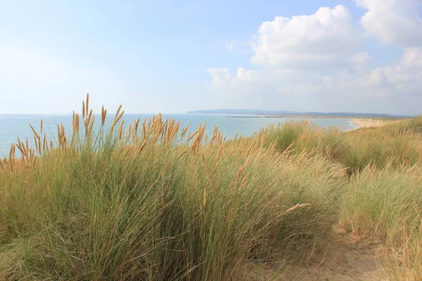 Camber Sands East Sussex View Camber Sand Dunes Sky Sea — Stock Photo, Image