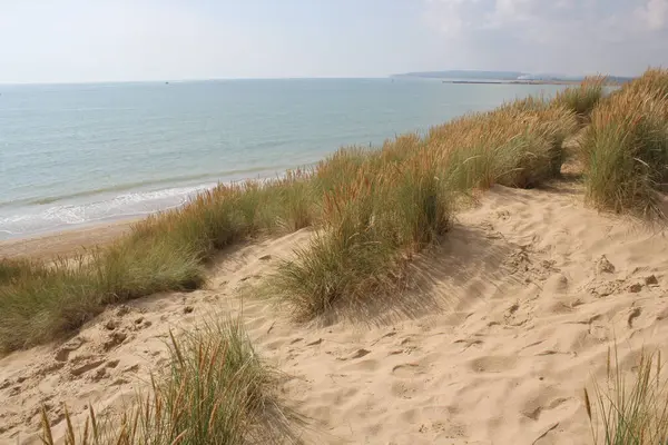 Camber sands East Sussex UK - view of Camber Sand dunes with sky and sea dunes held together with grasses stopping sand blowing away