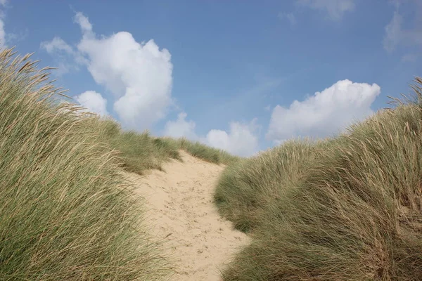 Camber Sands East Sussex 空と海の砂丘があるCamber Sand Dulesの景色草と一緒に開催砂が吹き飛ぶのを止める — ストック写真