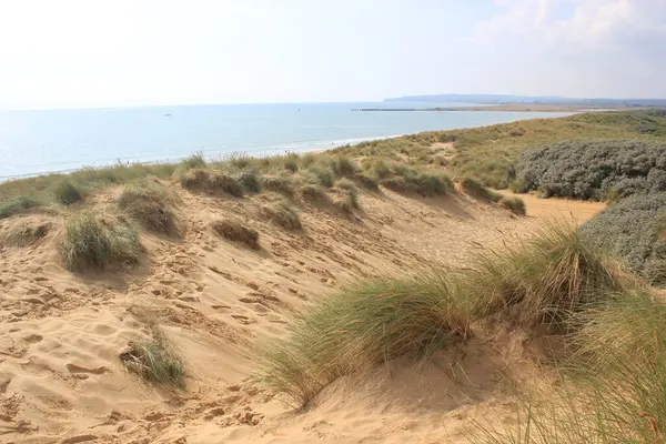 Camber Sands East Sussex UK - Gökyüzü ve deniz kumullarıyla kaplı Camber Kum tepeciklerinin manzarası