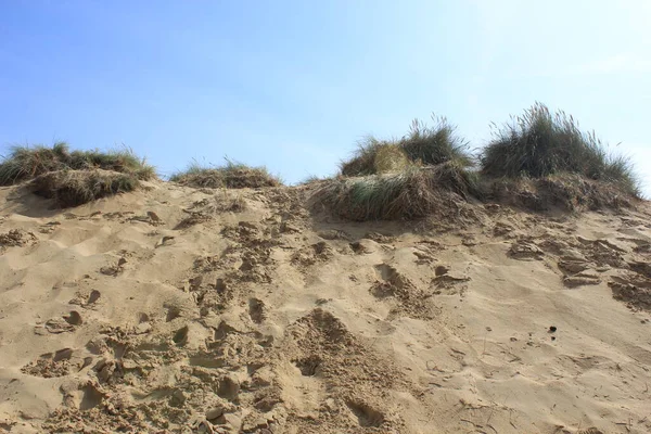 Camber Sands East Sussex UK - Gökyüzü ve deniz kumullarıyla kaplı Camber Kum tepeciklerinin manzarası