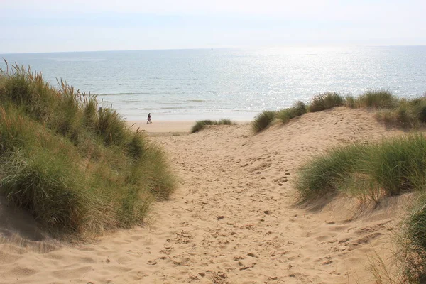Camber sands East Sussex UK - view of Camber Sand dunes with sky and sea dunes held together with grasses stopping sand blowing away