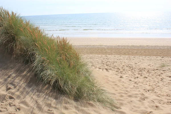Camber Sands East Sussex UK - Gökyüzü ve deniz kumullarıyla kaplı Camber Kum tepeciklerinin manzarası