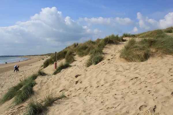 Camber Sands East Sussex UK - Gökyüzü ve deniz kumullarıyla kaplı Camber Kum tepeciklerinin manzarası