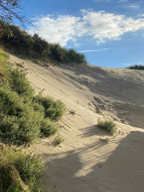 Camber Sands East Sussex UK - Gökyüzü ve deniz kumullarıyla kaplı Camber Kum tepeciklerinin manzarası
