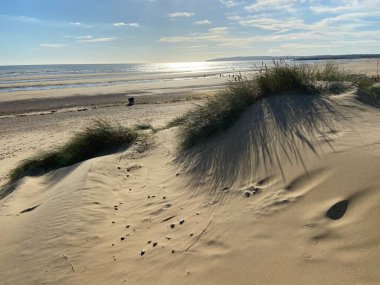Camber Sands East Sussex UK - Gökyüzü ve deniz kumullarıyla kaplı Camber Kum tepeciklerinin manzarası