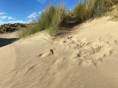 Camber Sands East Sussex UK - Gökyüzü ve deniz kumullarıyla kaplı Camber Kum tepeciklerinin manzarası