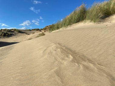 Camber Sands East Sussex UK - Gökyüzü ve deniz kumullarıyla kaplı Camber Kum tepeciklerinin manzarası