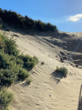 Camber Sands East Sussex UK - Gökyüzü ve deniz kumullarıyla kaplı Camber Kum tepeciklerinin manzarası