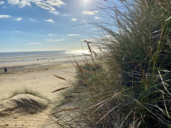 Camber Sands East Sussex UK - Gökyüzü ve deniz kumullarıyla kaplı Camber Kum tepeciklerinin manzarası