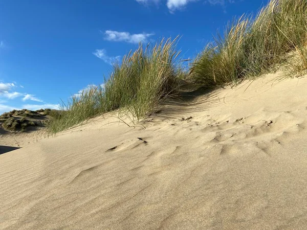 Camber Sands East Sussex View Camber Sand Dunes Sky Sea — Stock Photo, Image