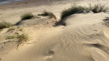 Doğu Sussex, Uk-Camber 'deki Camber Kumsal Köyü kum tepeleri ve çimenlerle dolu popüler bir kumsaldır. 