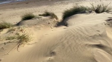 Doğu Sussex, Uk-Camber 'deki Camber Kumsal Köyü kum tepeleri ve çimenlerle dolu popüler bir kumsaldır. 
