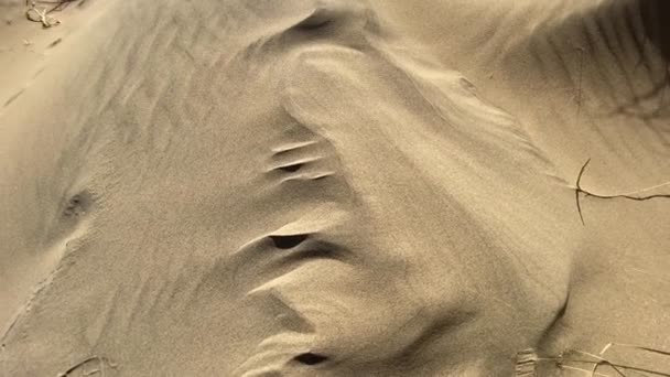 Camber Sands Beach Village East Sussex Camber Sands Beach Популярний — стокове відео