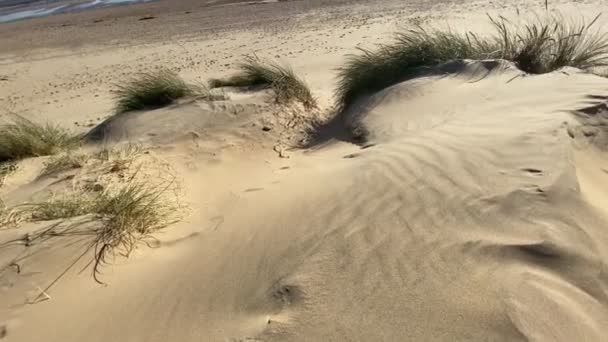 キャンバーサンズビーチ村イーストサセックス イギリス キャンバーサンズビーチは砂丘や草で人気の砂浜です — ストック動画