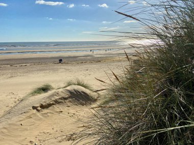 Camber Sands East Sussex UK - Gökyüzü ve deniz kumullarıyla kaplı Camber Kum tepeciklerinin manzarası