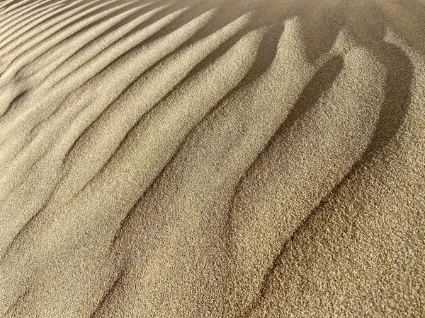 砂丘波と砂のパターン 乾燥した砂漠 茶色または黄色の色 砂は風によって形を変え 砂の波紋とギザギザの線を形成します 選択的フォーカス スペースのコピー — ストック写真