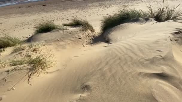 Camber Sandstrand East Sussex Storbritannien Camber Sandstrand Populär Sandstrand Med — Stockvideo