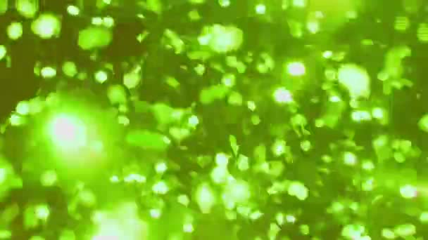Vert Brillant Abstrait Mouvement Bokeh Fond Particules Brillantes Particules Scintillantes — Video
